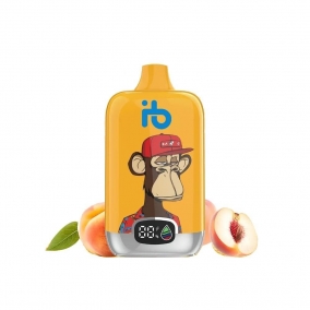 Jednokratna elektronske cigarete 12.000 Puffova - Breskva i Voćni Sok | Osježavajuća Voćna Mješavina